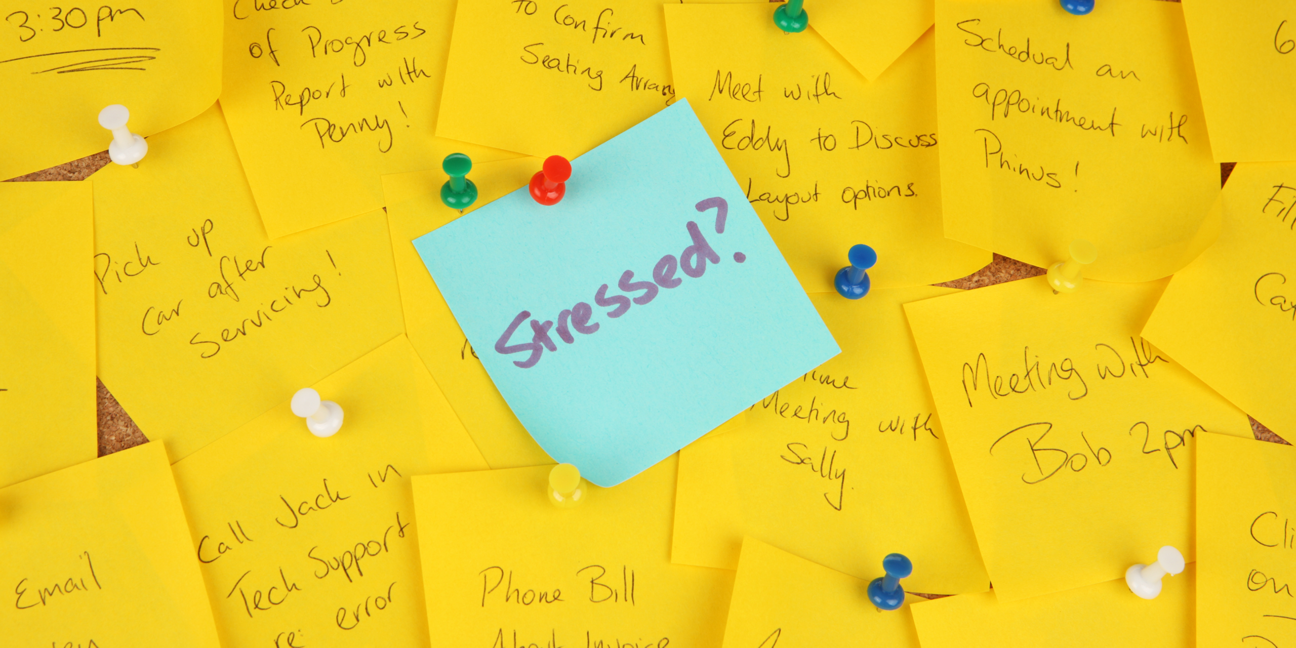stress free office environment